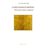 Ca prin oglinda, in ghicitura. Mici eseuri despre crestinism - Ioan Alexandru Tofan, editura Galaxia Gutenberg