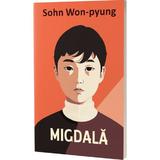Migdala - Sohn Won-pyung, editura Alice Books