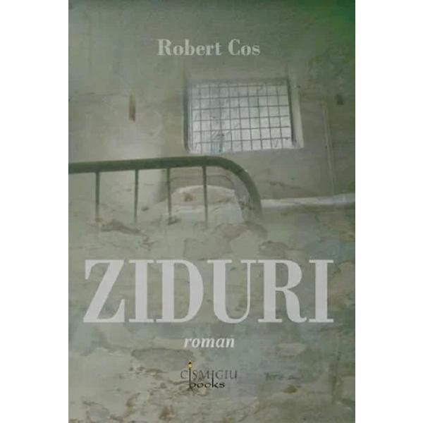 Ziduri - Robert Cos