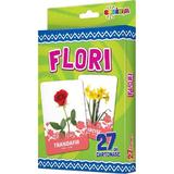 Flori - 27 De Cartonase, Editura Dorinta