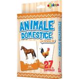 Animale Domestice si Hrana Lor - 27 de Cartonase, Editura Dorinta