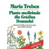 Plante medicinale din Gradina Domnului - Maria Treben, editura Andreas