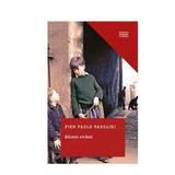 Baietii strazii - Pier Paolo Pasolini, editura Litera
