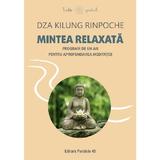 Mintea relaxata. Program de un an pentru aprofundarea meditatiei - Dza Kilung Rinpoche, editura Paralela 45