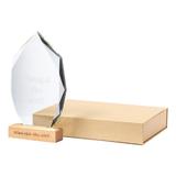 trofeu-din-sticla-piksel-cu-suport-din-lemn-in-cutie-kraft-15x24-5-cm-2.jpg