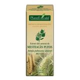 SHORT LIFE - Extract Amenti de Mesteacan Pufos Plantextrakt, 50 ml
