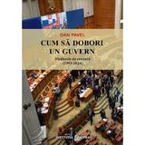 Cum sa dobori un guvern. Motiunile de cenzura (1993-2024) - Dan Pavel, editura Institutul European
