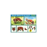planse-animale-salbatice-editura-erc-press-2.jpg