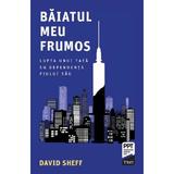 Baiatul meu frumos. Lupta unui tata cu dependenta fiului sau - David Sheff, editura Trei