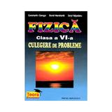 Fizica clasa a 6-a culegere de probleme- Constantin Corega, Dorel Haralamb, Seyl Talpalaru, editura Teora
