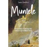 Muntele. Intalnirea cu un pustnic care mi-a schimbat viata - Ioannis Arambatzis, editura Sophia