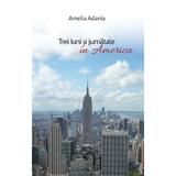 Trei luni si jumatate in America - Amelia Adania, editura Smart Publishing