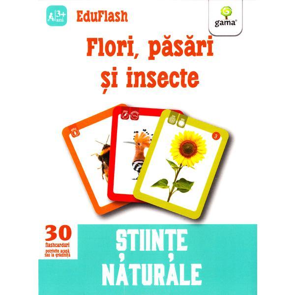 Flori, Pasari Si Insecte 3 Ani+ (eduflash)