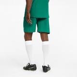pantaloni-scurti-barbati-puma-teamfinal-shorts-70507605-l-verde-3.jpg
