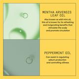 balsam-profesional-fortifiant-impotriva-ruperii-pentru-par-natural-cu-aspect-usor-subtiat-nioxin-system-1-scalp-hair-conditioner-1000-ml-1724073663373-1.jpg