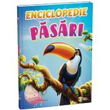 Enciclopedie: Pasari, editura Dorinta