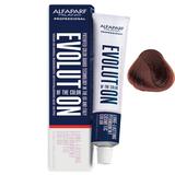 vopsea-permanenta-alfaparf-milano-evolution-of-the-color-nuanta-6-4-dark-blonde-copper-1730293605600-1.jpg
