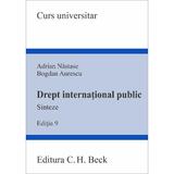Drept international public. Sinteze Ed.9 - Adrian Nastase, Bogdan Aurescu, editura C.h. Beck