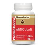 Supliment alimentar Articular protect, 60 capsule