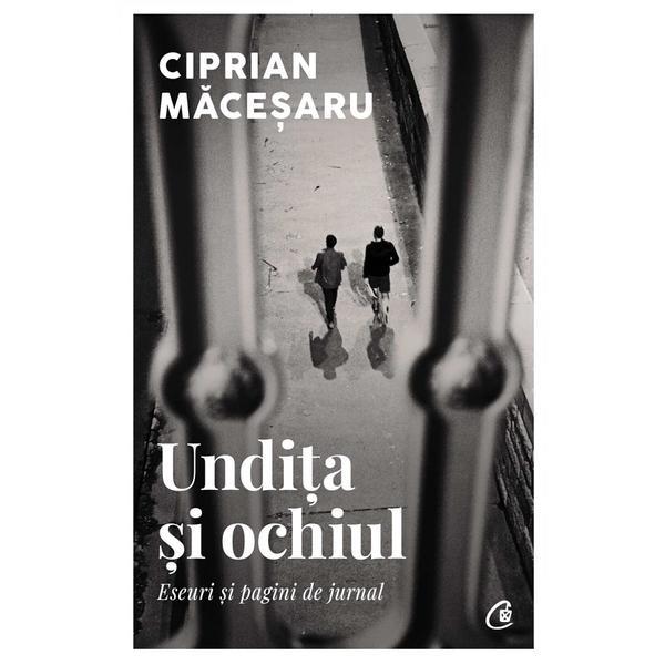 Undita si ochiul - Ciprian Macesaru, editura Curtea Veche