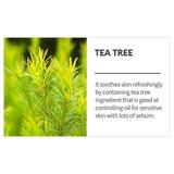 masca-tip-servetel-cu-extract-de-arbore-de-ceai-missha-airy-fit-sheet-face-mask-tea-tree-19-g-1733995156707-2.jpg