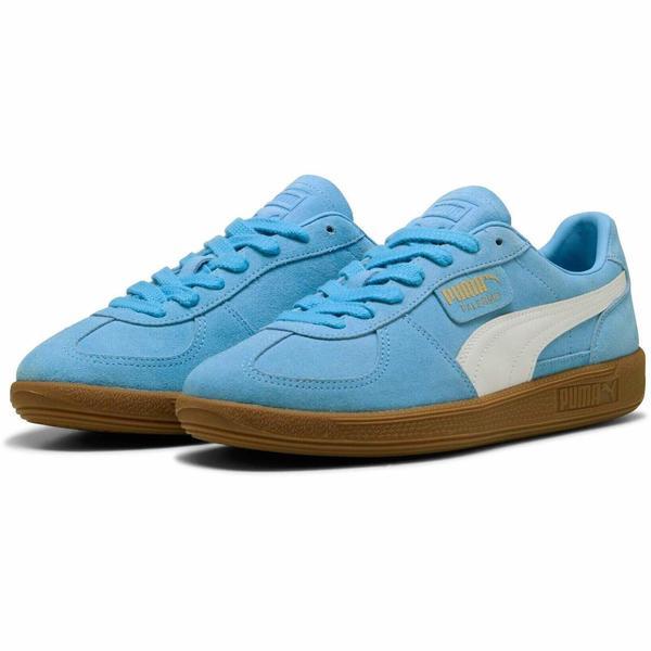 Pantofi sport barbati Puma Palermo 39646344, 42, Albastru
