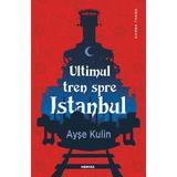 Ultimul tren spre Istanbul - Ayse Kulin - editura Nemira