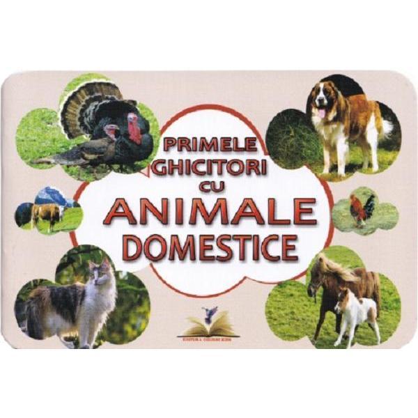 Primele ghicitori cu animale domestice, editura Colibri Kids