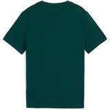 tricou-copii-puma-mid90s-graphic-tee-iii-b-68515260-128-verde-5.jpg