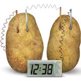 set-stem-potato-clock-stiinta-verde-4.jpg