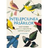 Intelepciunea Pasarilor - Alison Davies