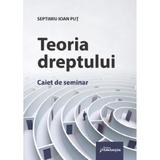 Teoria dreptului. Caiet de seminar - Septimiu Ioan Put, editura Hamangiu