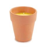 Lumanare parfumata Citronella in ghiveci din lut, 8 x 8 cm