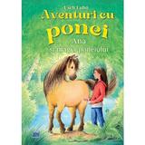 Aventuri cu ponei: Ana si magia poneiului - Usch Luhn, editura Didactica Publishing House