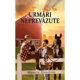 Urmari neprevazute - Monica Dimitriu, editura Ink Story