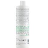 sampon-pentru-par-si-corp-kemon-actyva-bellessere-shampoo-hair-amp-body-varianta-2025-1000-ml-1747390076112-2.jpg
