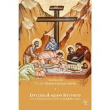 Drumul spre Inviere. De la Sambata lui Lazar la Sambata Mare - Florin Ciprian Petre, editura Basilica