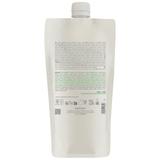 sampon-anti-cadere-kemon-actyva-p-factor-shampoo-hair-loss-prevention-velian-pouch-bag-varianta-2025-1000-ml-1747831263112-1.jpg