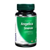 Angelica Sinensis - DVR Pharm, 60 capsule