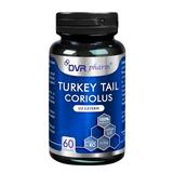 Turkey Tail Coriolus - DVR Pharm, 60 capsule