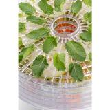deshidrator-de-alimente-eta-secca-7301-90000-380-w-5-niveluri-35-70-c-afisaj-led-alb-3.jpg