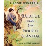 Baiatul care si-a pierdut scanteia - Maggie O'Farrell, editura Didactica Publishing House