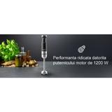 blender-de-mana-3-in-1-eta-massimo-3256-90000-1200w-otel-inoxidabil-viteza-variabila-turbo-tel-bol-amestecare-negru-3.jpg