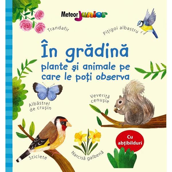 Usborne. In gradina. Plante si animale pe care le poti observa - Kate Nolan, editura Meteor Press