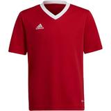 Tricou copii adidas Jr Ent22 Jersey H57496, 152, Rosu