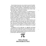 abisala-numeric-petre-r-u-editura-boem-2.jpg