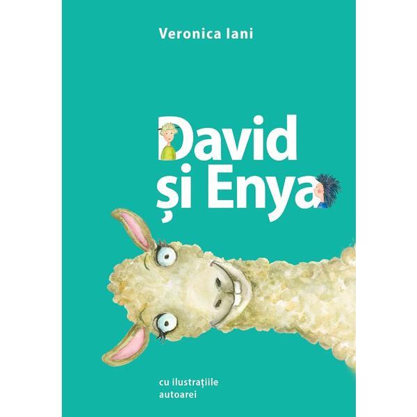 David si Enya - Veronica Iani