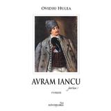 pachet-2-vol-avram-iancu-ovidiu-hulea-2.jpg
