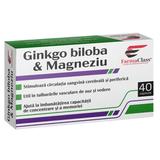 Ginkgo Biloba & Magneziu - Farma Class, 40 capsule