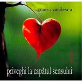 Priveghi la capatul sensului - Maria Vasilescu, editura Vinea
